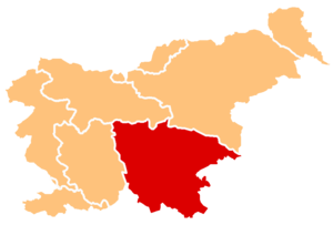 Čistilni servis Novo Mesto - področje